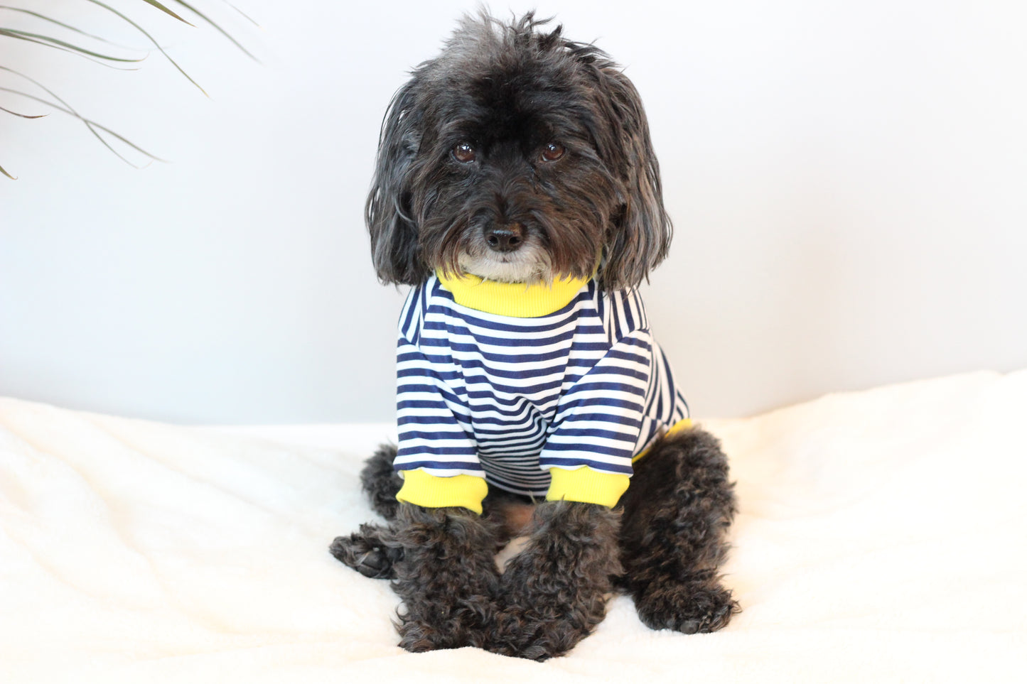 Sailor Bear Shirt