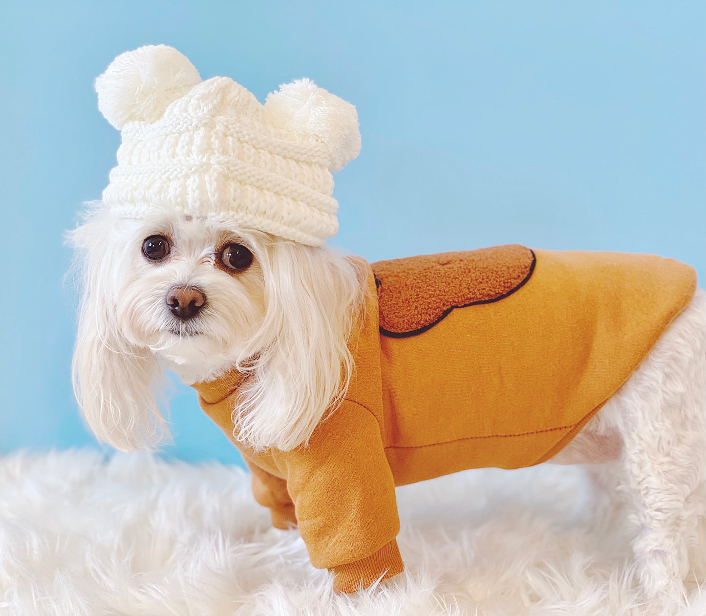 Hola! Bear Sweatshirt (Brown)