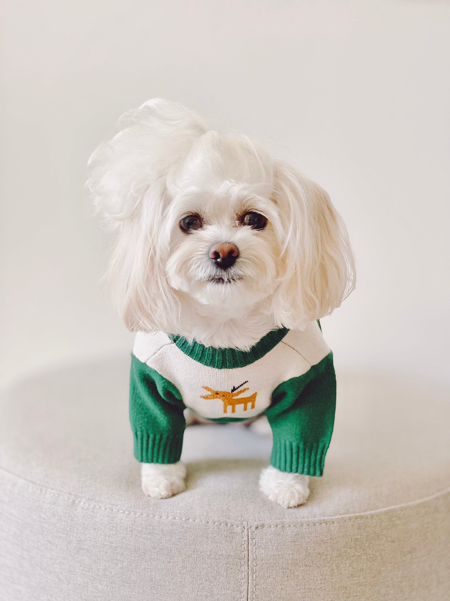 Oh Deer! Winter Sweater (Green)