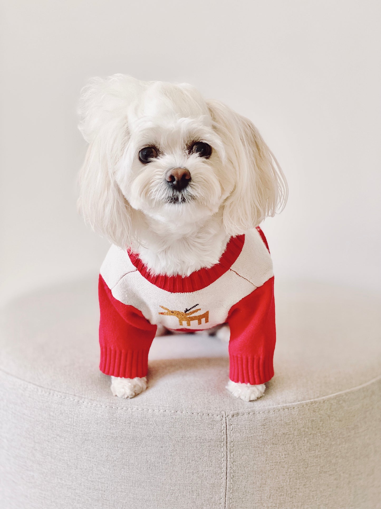 Oh Deer! Winter Sweater (Red)