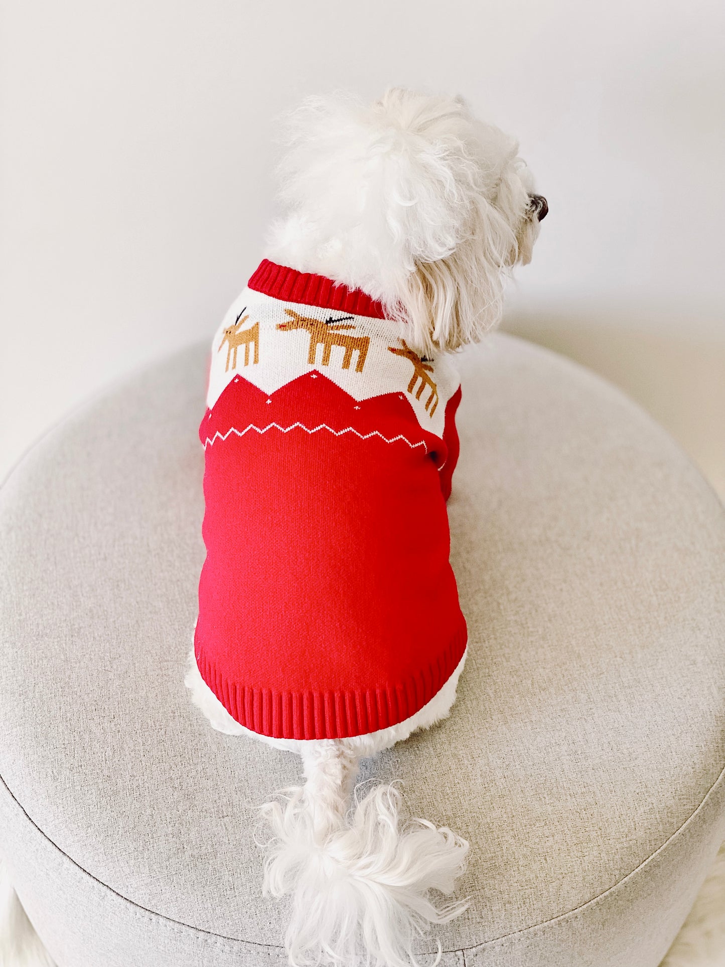 Oh Deer! Winter Sweater (Red)