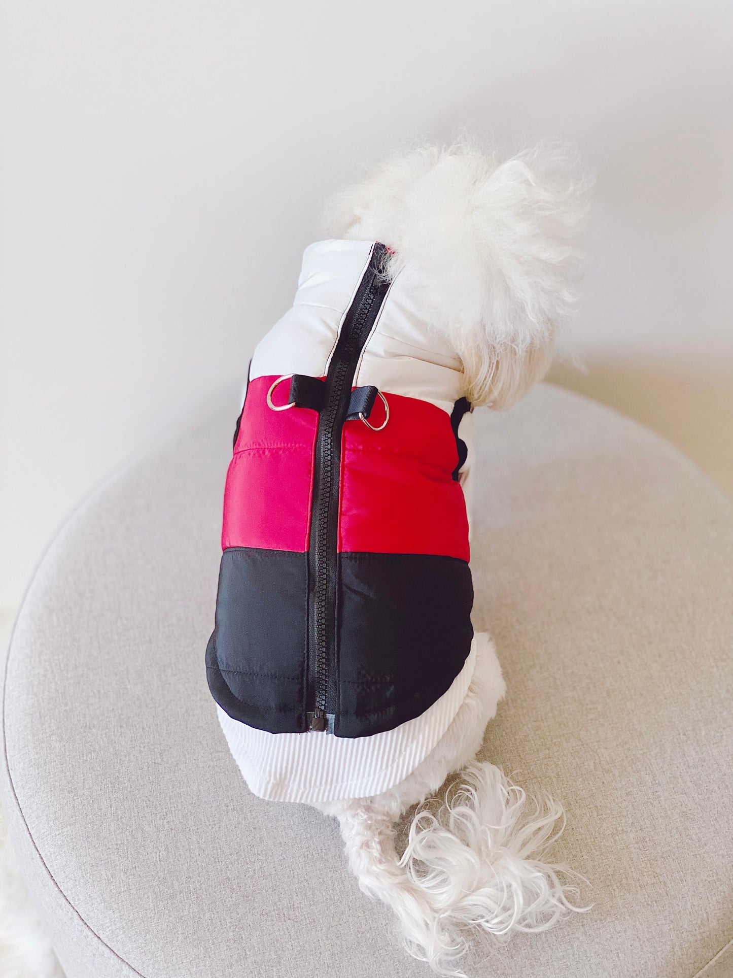 Color Block Zipper Vest