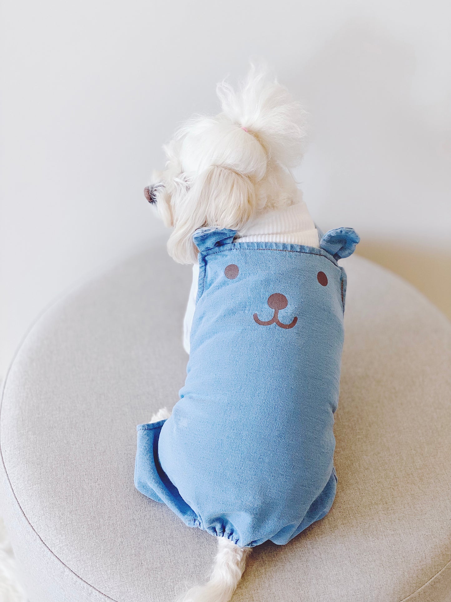 Teddy Blue Denim Jumpsuit