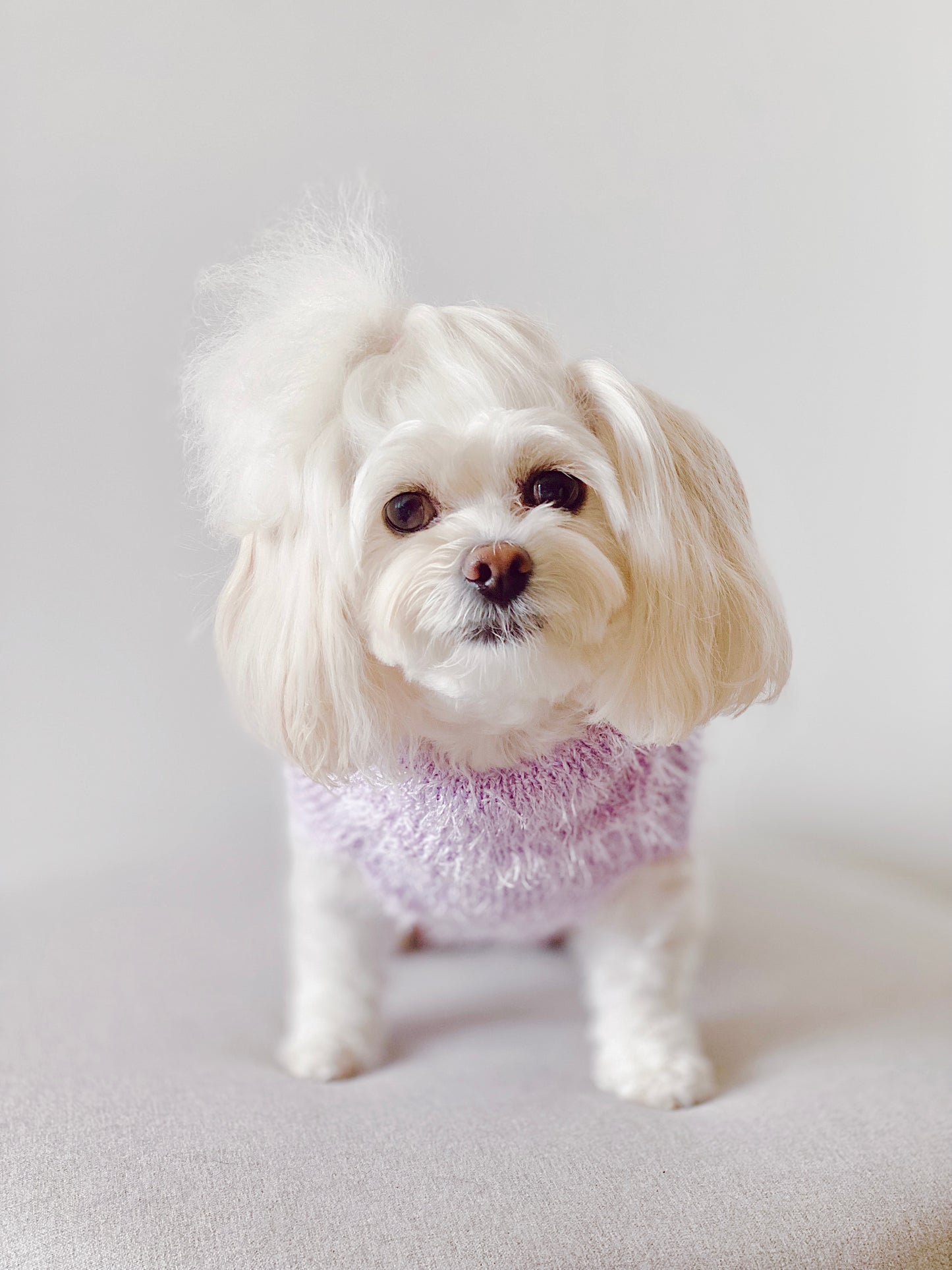 Elegant Dandelion Sweater (Lilac)