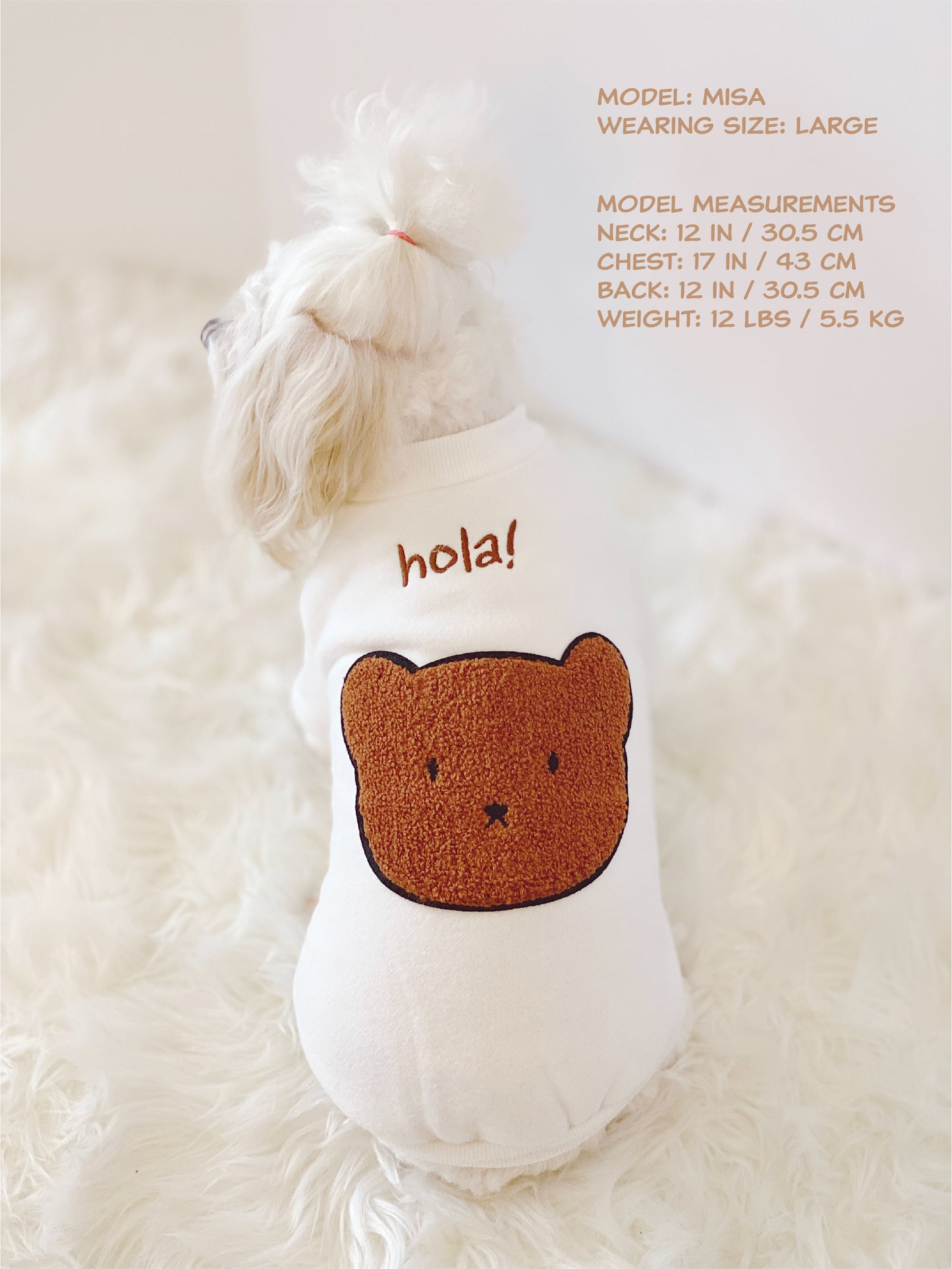 Hola! Bear Sweatshirt (White)