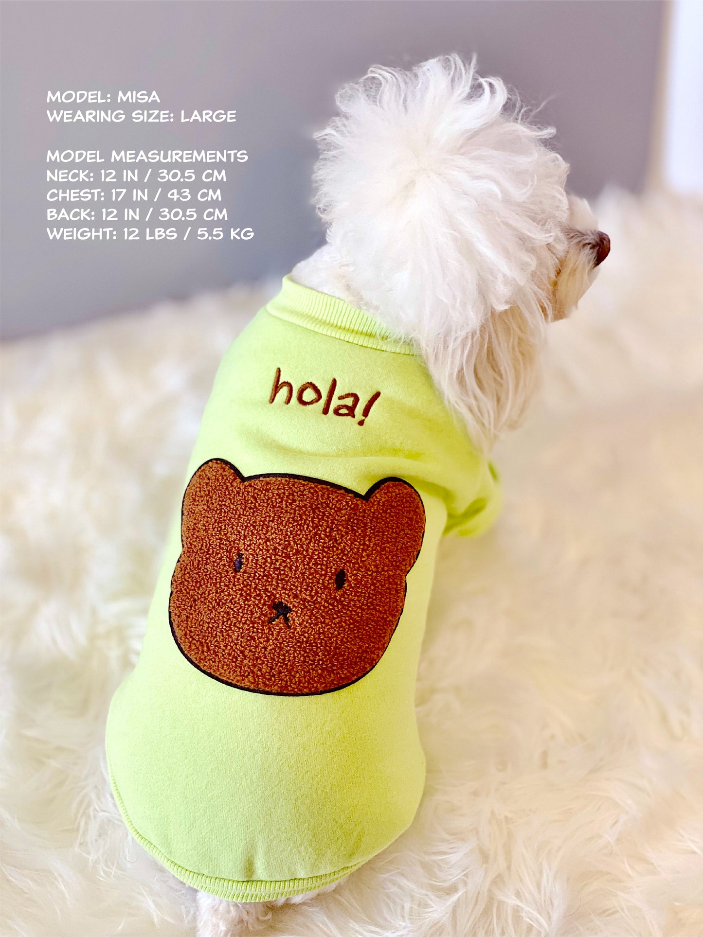 Hola! Bear Sweatshirt (Green)