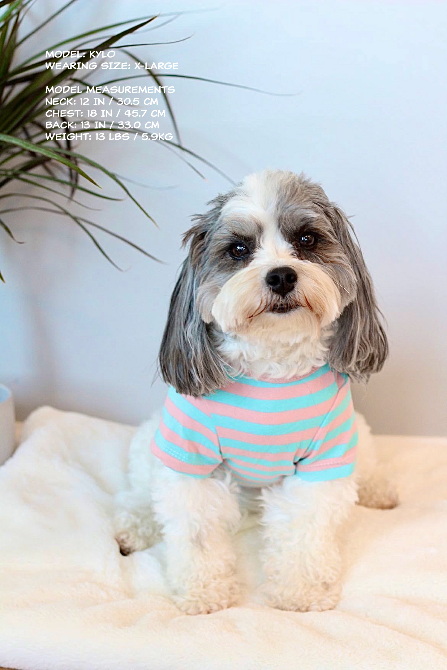 Hello Baby Striped Shirt