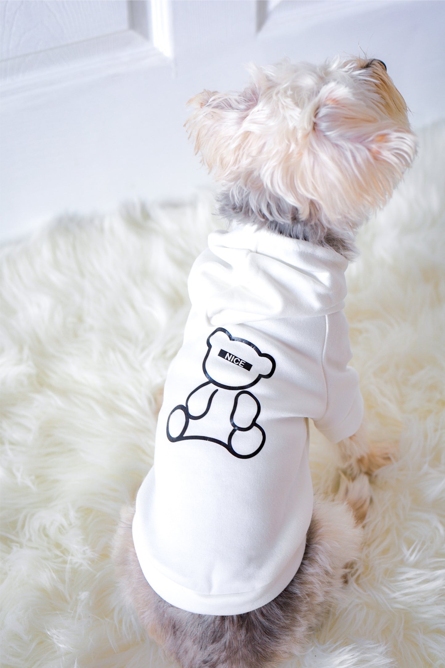 Nice Bear Hoodie