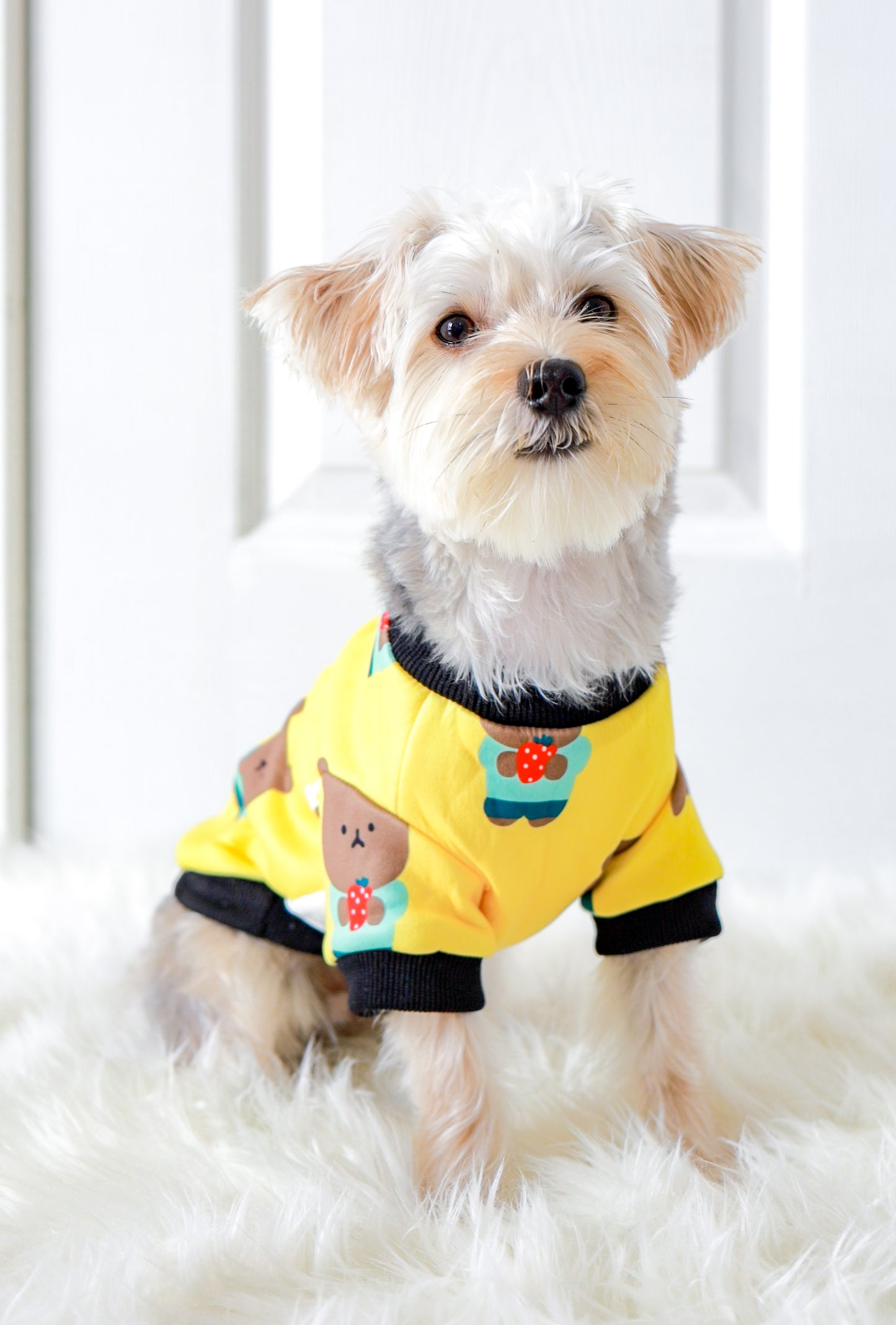 Daisy Strawberry Bear Sweatshirt