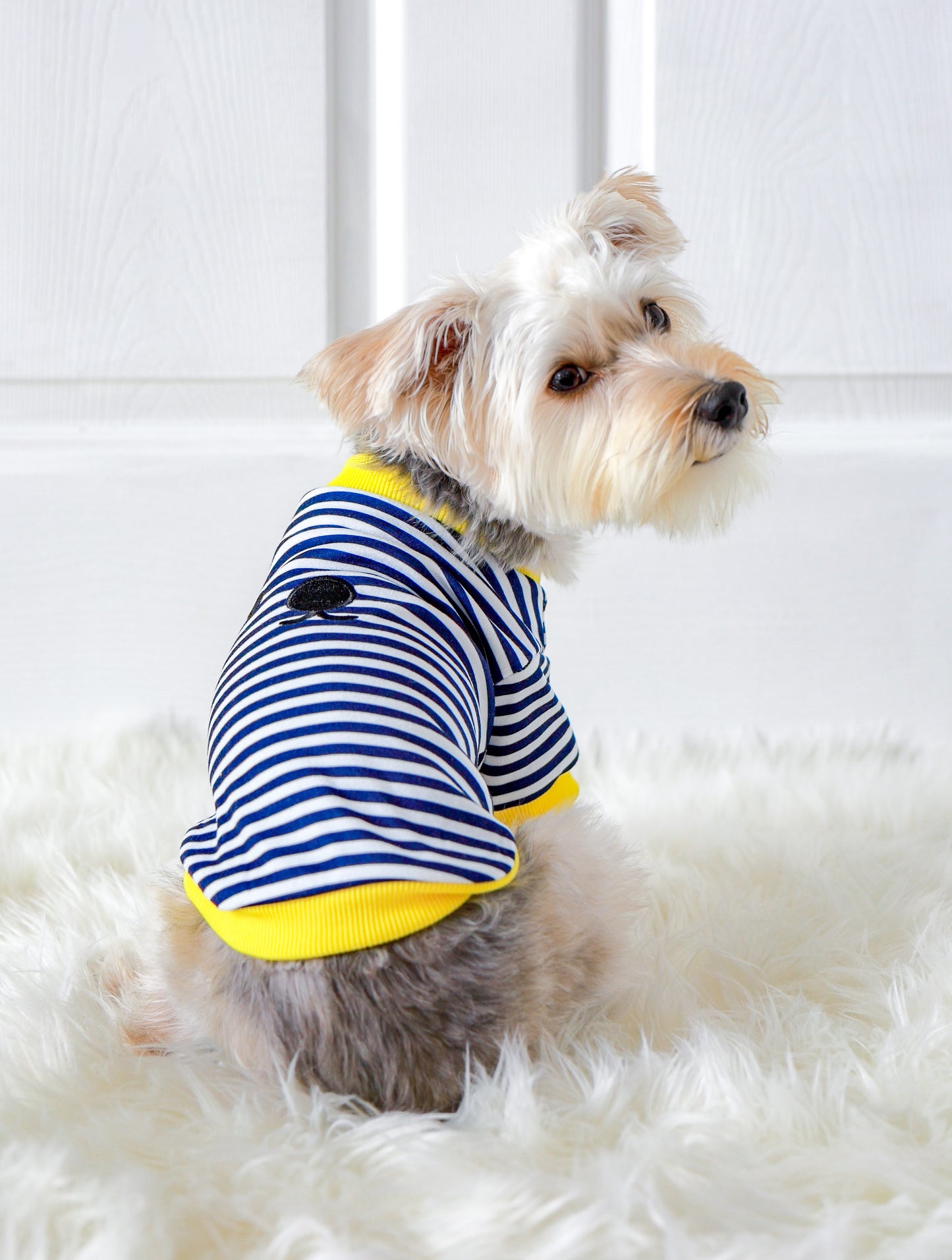 Sailor Bear Shirt