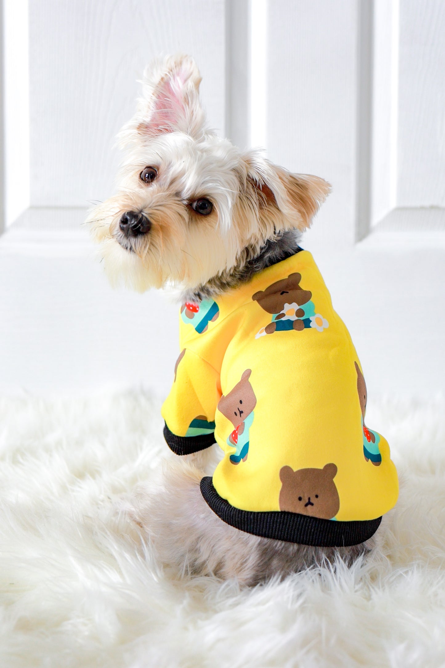 Daisy Strawberry Bear Sweatshirt