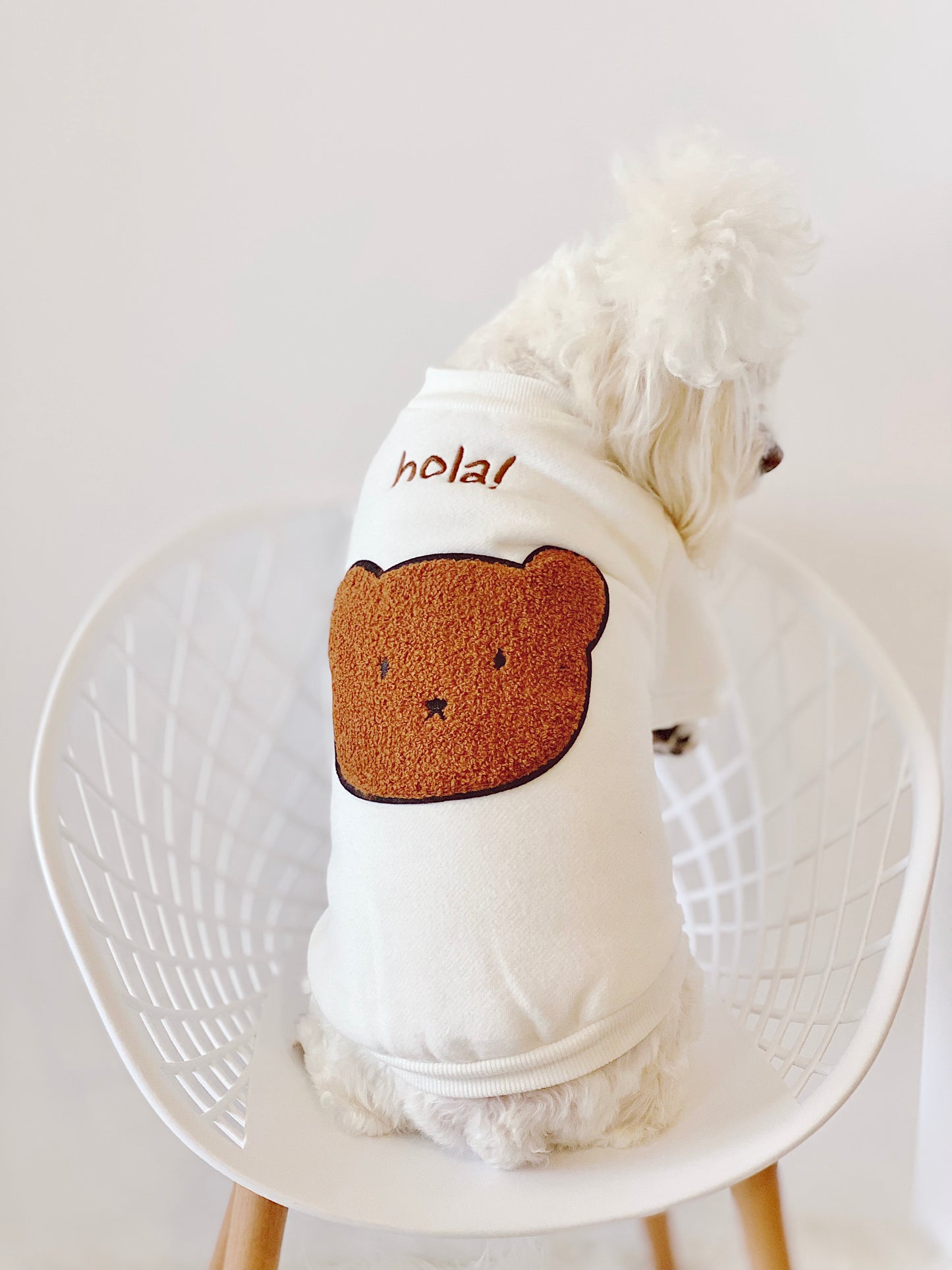 Hola! Bear Sweatshirt (White)