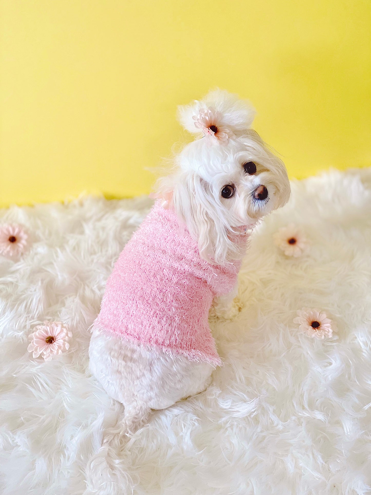 Elegant Dandelion Sweater (Pink)