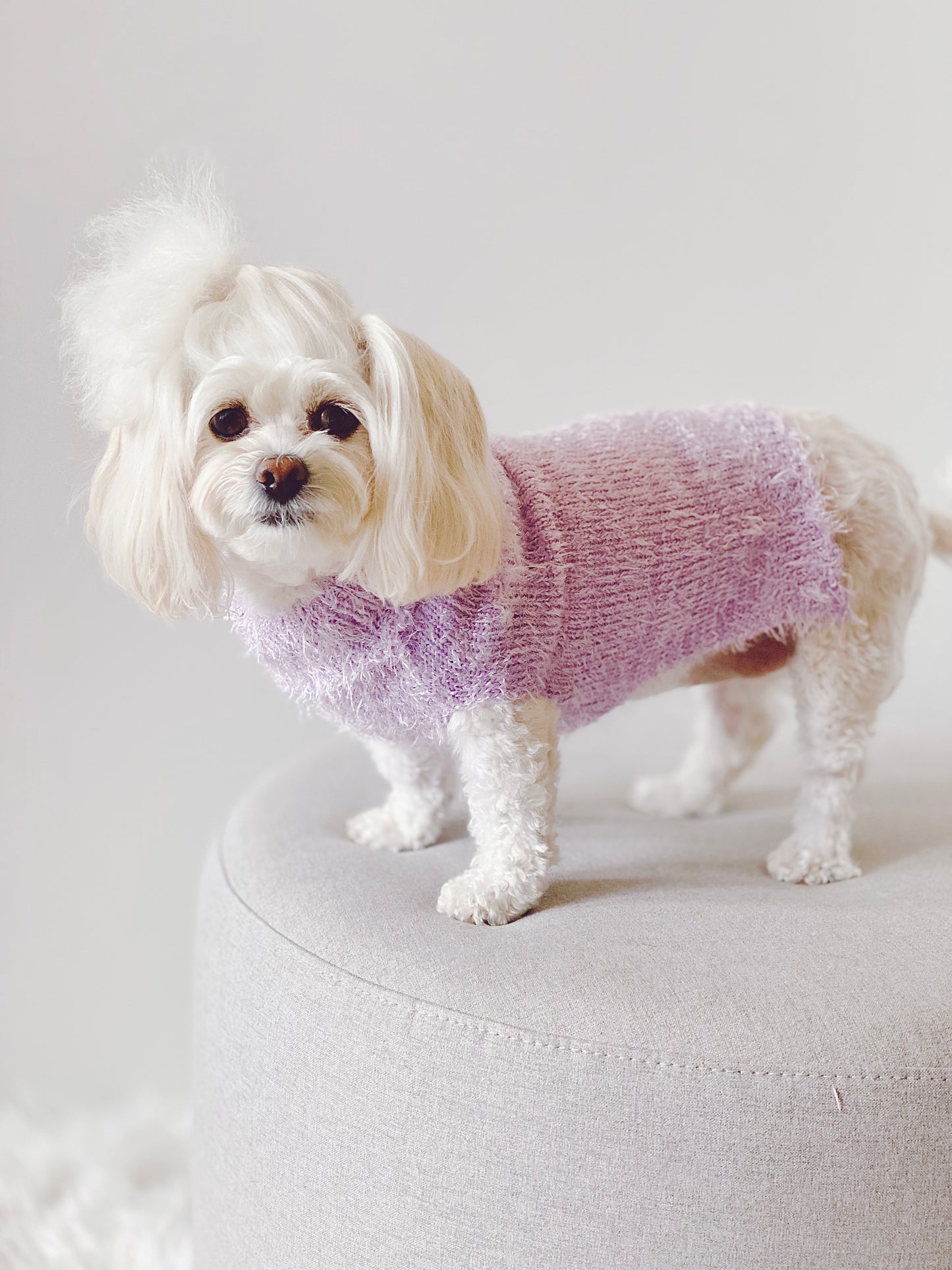 Elegant Dandelion Sweater (Lilac)
