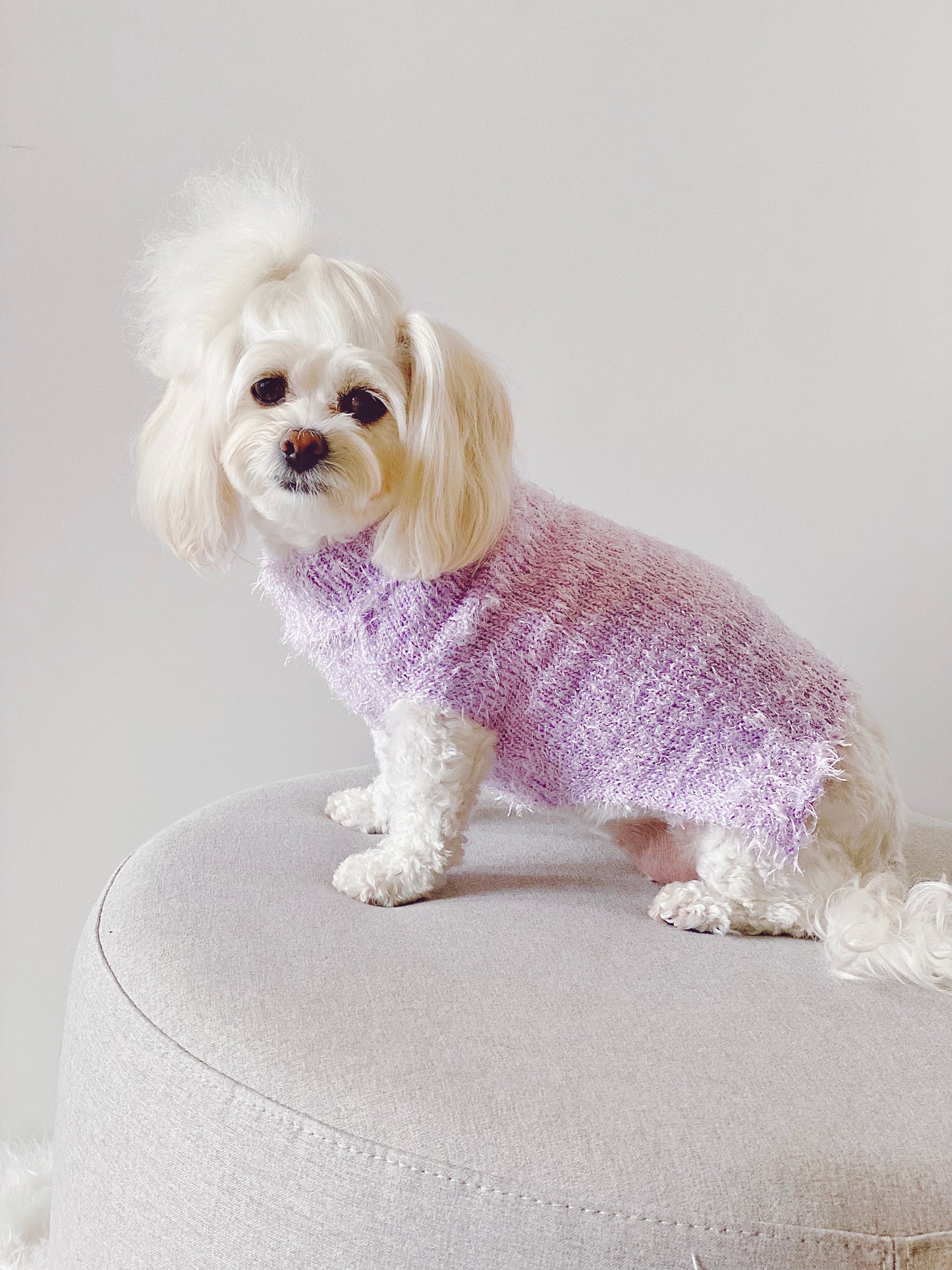 Elegant Dandelion Sweater (Lilac)